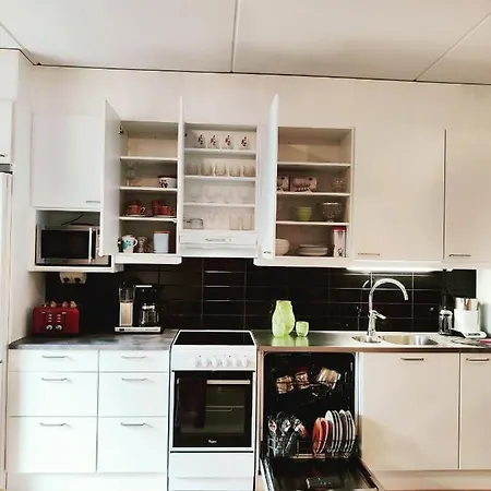 Joutjaerven דירה להטי