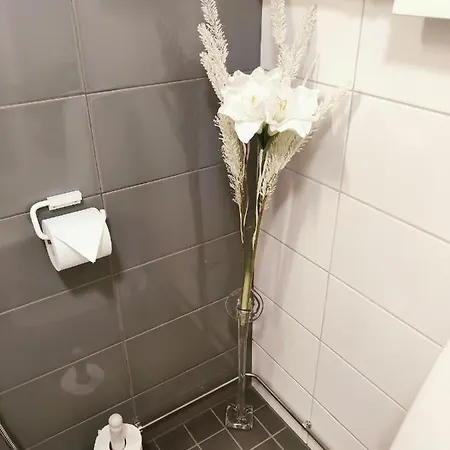 Joutjaerven דירה להטי