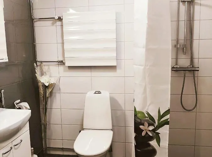 Joutjaerven דירה *