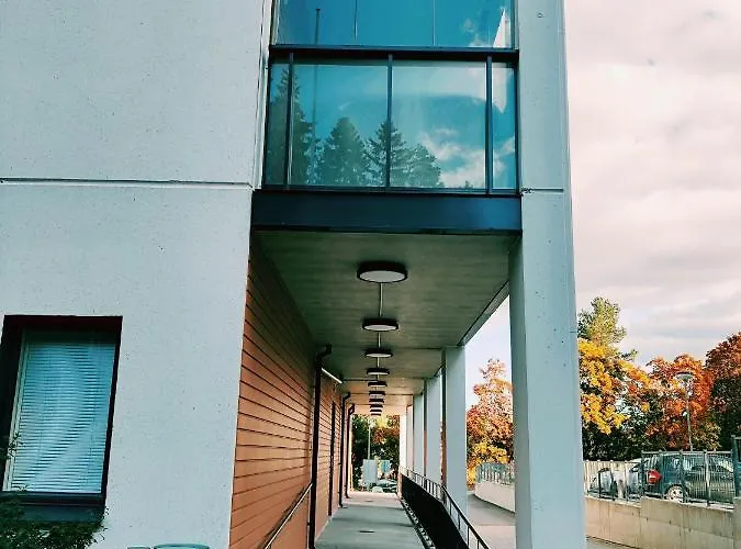 Joutjaerven * להטי